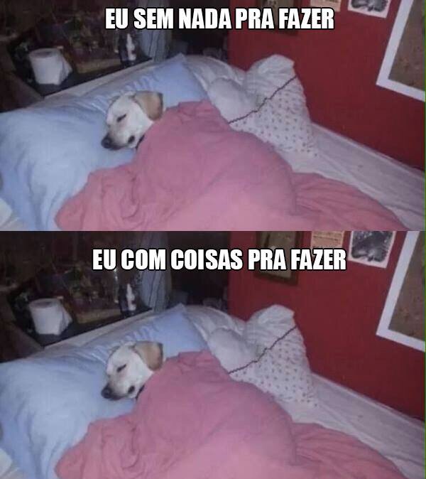 CharlaBaby's tweet image. 