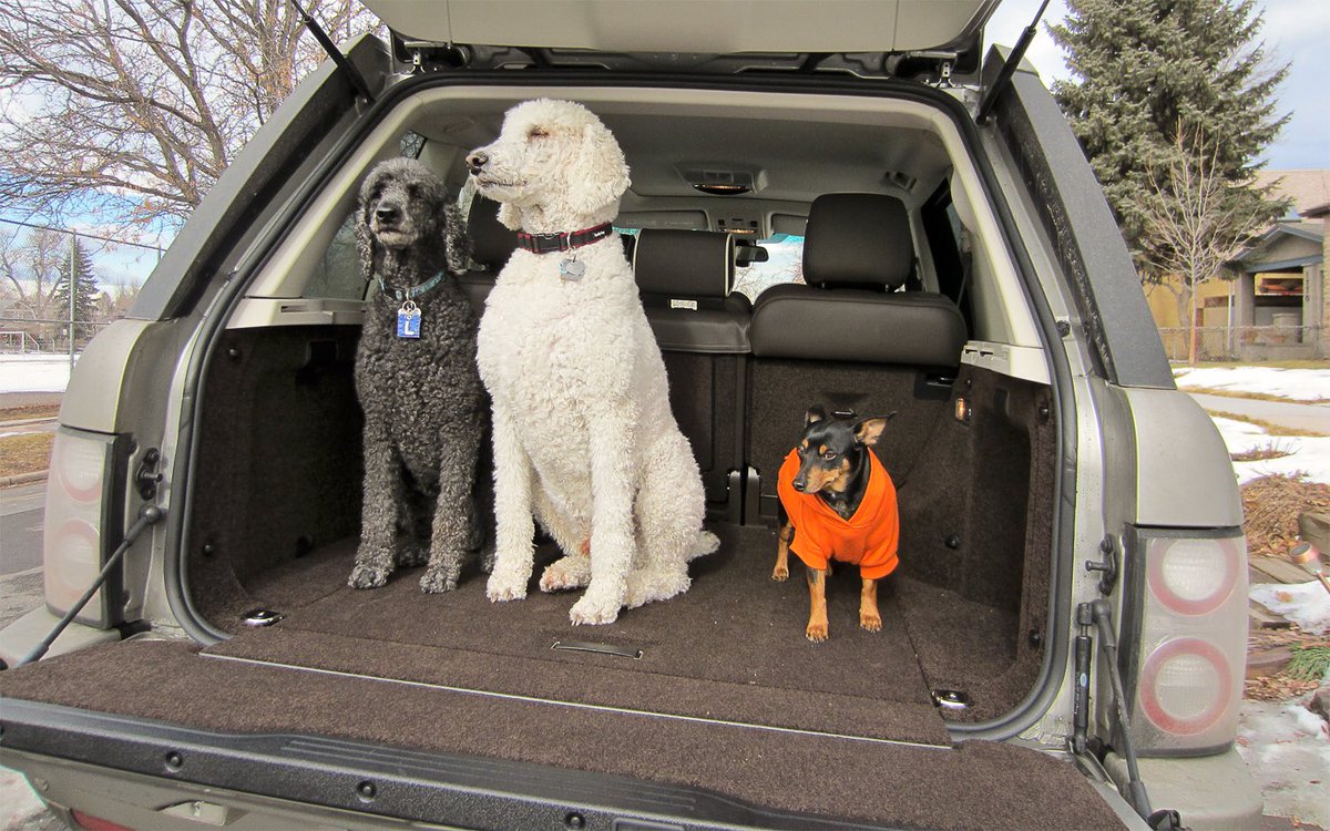 marc_andrw's tweet photo. so baby pull me closer in the backseat of your rover https://t.co/6t0dPJFLPj