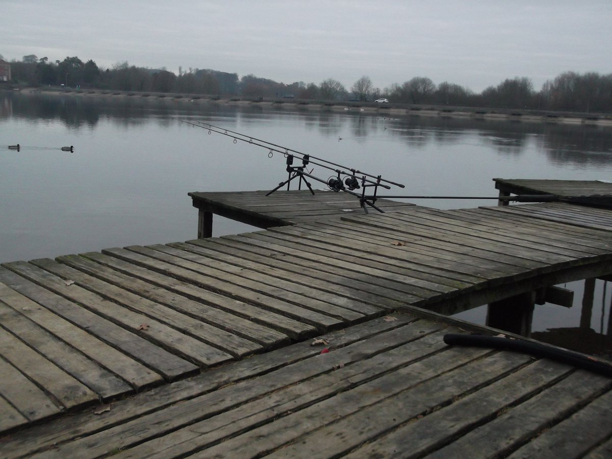 AddictionCarp tweet picture