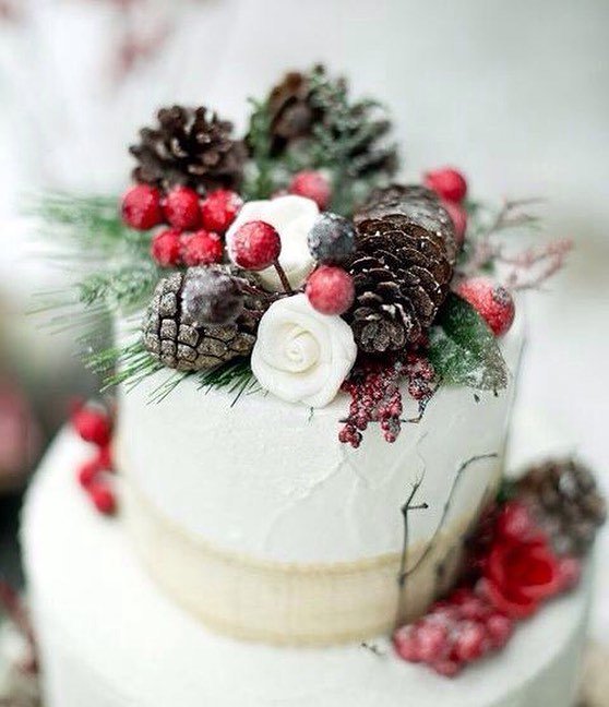 EbonyRoseUK's tweet photo. Are any of you lovely brides due to be married over the Christmas period? We love festive weddings; and we love thi… https://t.co/wa37KFUJYJ