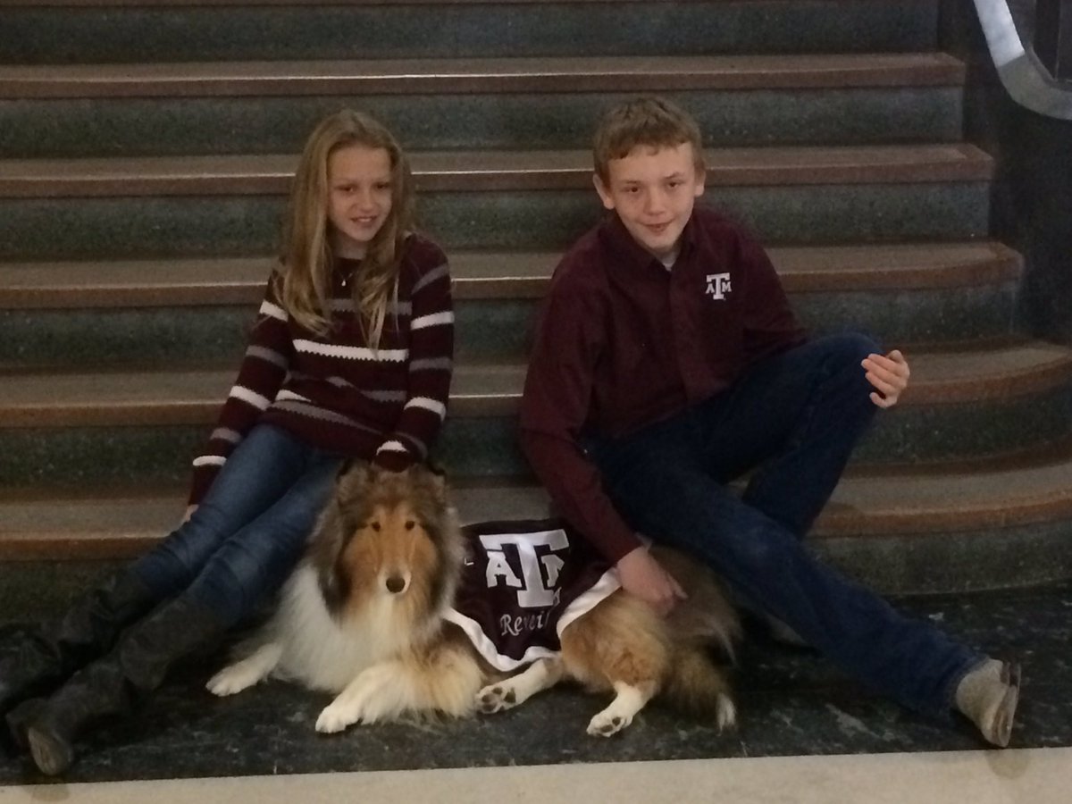 tradee00's tweet photo. Thanks @reveille for the photos and play time today! So much fun! https://t.co/lay3BwhoIy