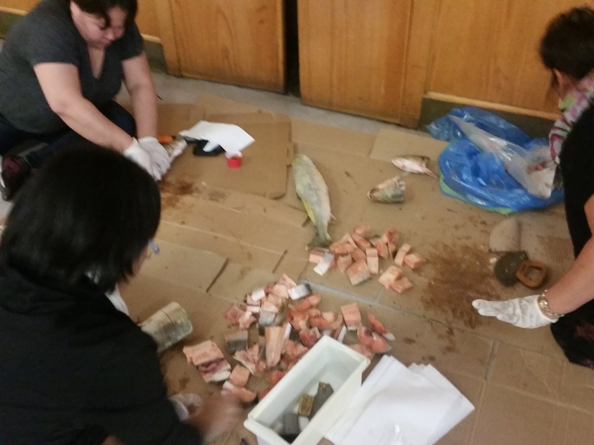 Dave Zackrias🇨🇦 tweet media