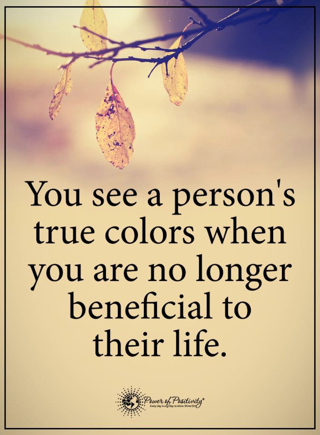Real Color Quote True Colours Quote