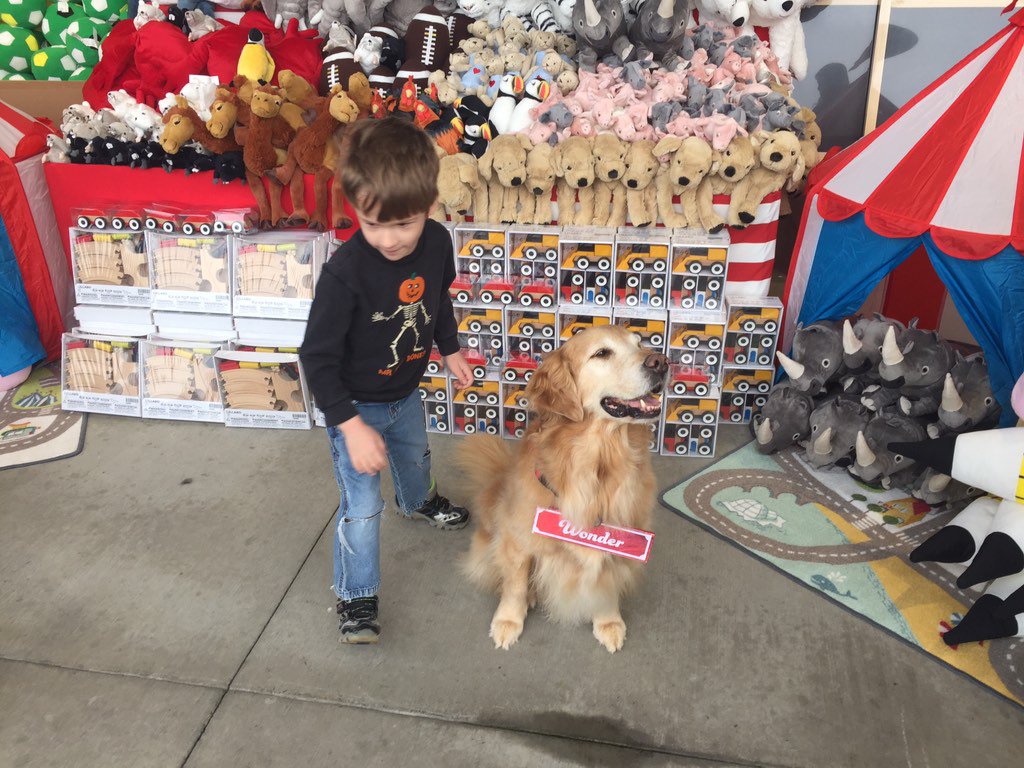 Collecting toys <a href="/IKEA_Portland/">IKEA Portland</a> with Wonder!  Here until 3pm!  <a href="/KGWNews/">KGW News</a> #GreatToyDrive