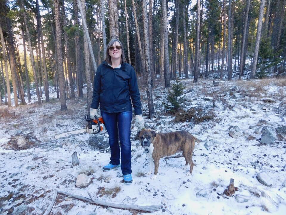 Beautiful day in #RedLodge to harvest #ChristmasTree. #montana #familytradition thank you #sylvanpeak for making permit so easy breezy!