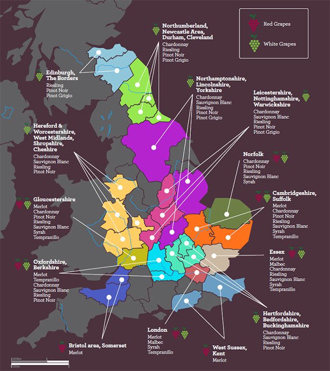 How Britain could be a major Wine Producer by 2100 - Study | po.st/LtGdzn via <a href="/decanter/">Decanter</a>