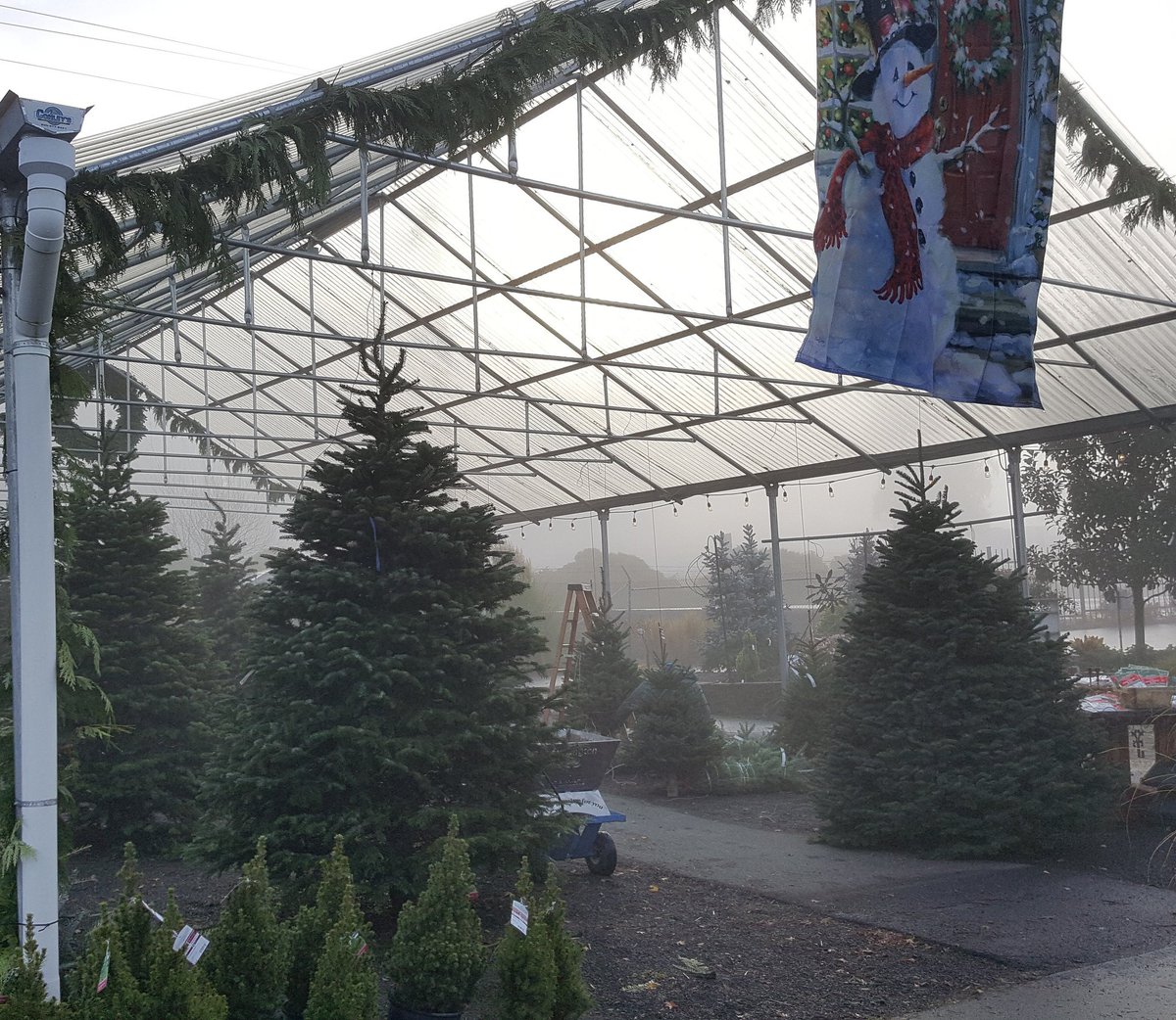 FarmingtonGrdns's tweet photo. A crisp foggy morning. #fog #farmingtongardens https://t.co/9HP9JSXeSO