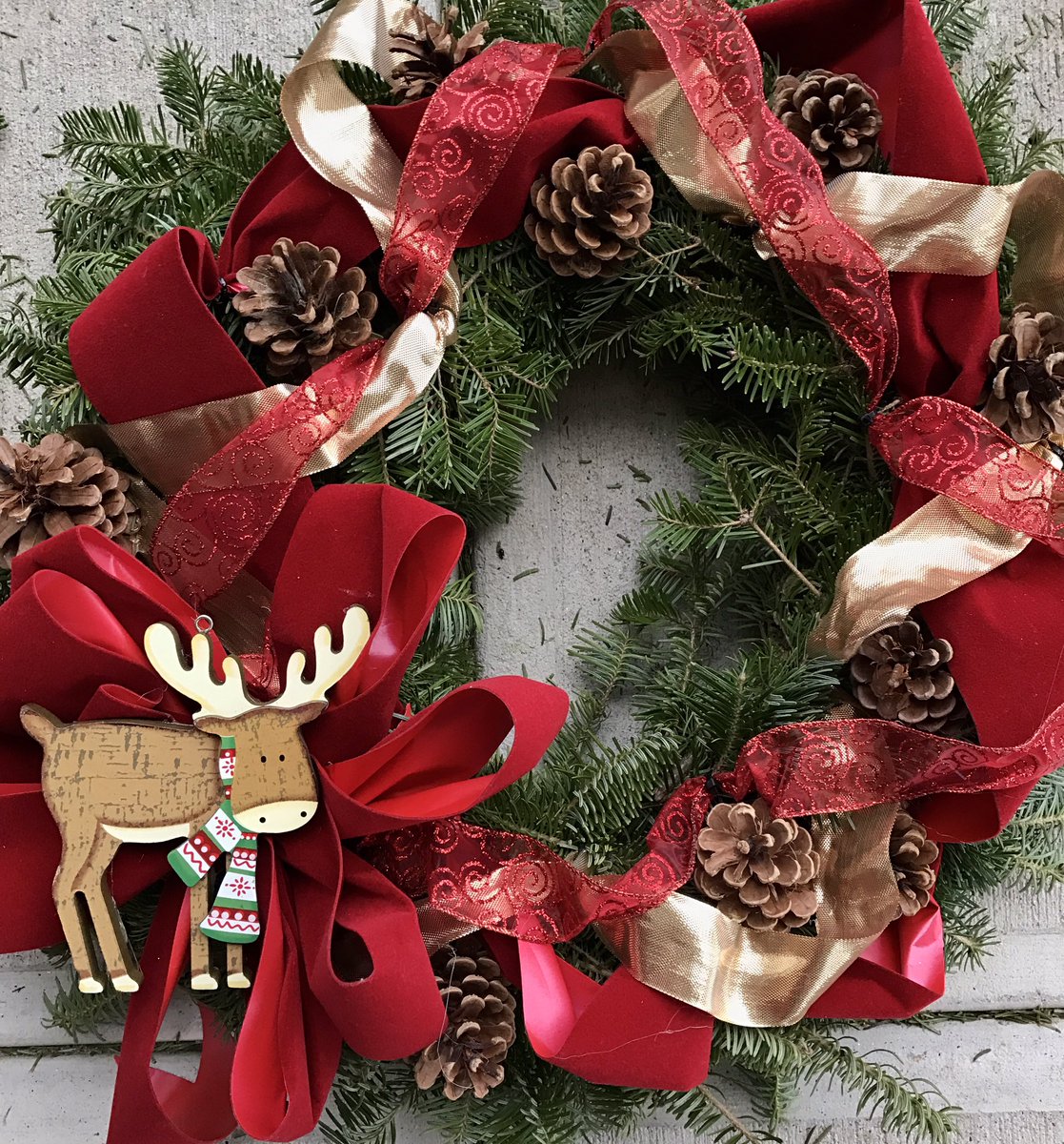 Region6Gardens's tweet photo. Holiday sale open M-F 8am-2pm this week! https://t.co/yIxutJYssx
