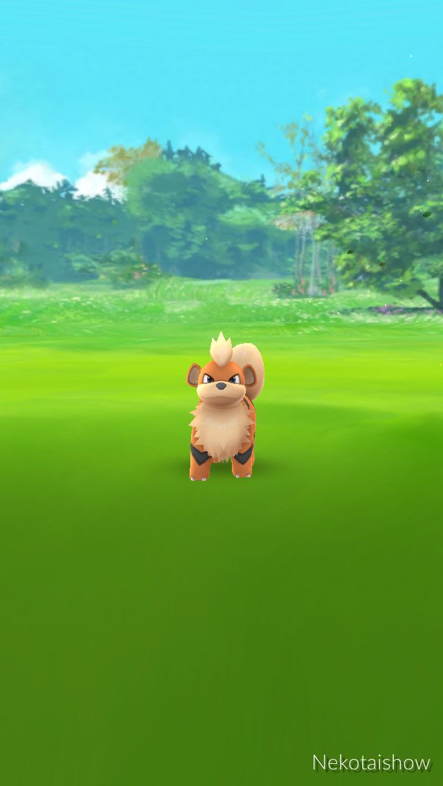 ねこ大将 Pokemonbar Twitter ねこ大将 Pokemonbar Twitter