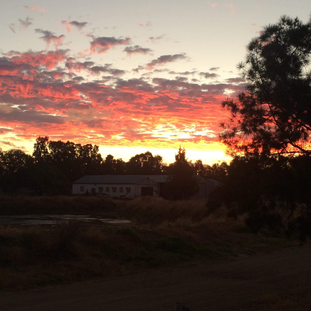 Franki's Vineyards tweet media