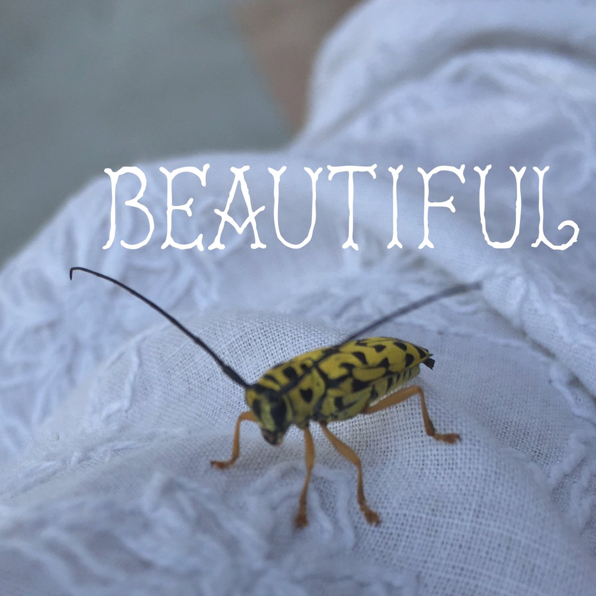 pranav_72's tweet image. Trying this new app #Over . Still a rookie. One day come up with something cool. 😅 #iOSuser