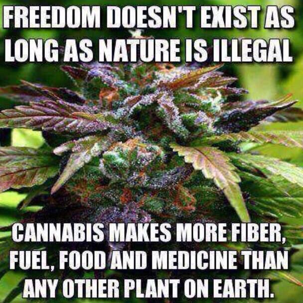 Anonymous (@toptruthseeker) on Twitter photo 