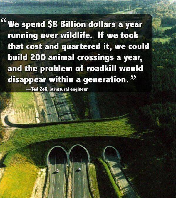 Anonymous (@toptruthseeker) on Twitter photo 