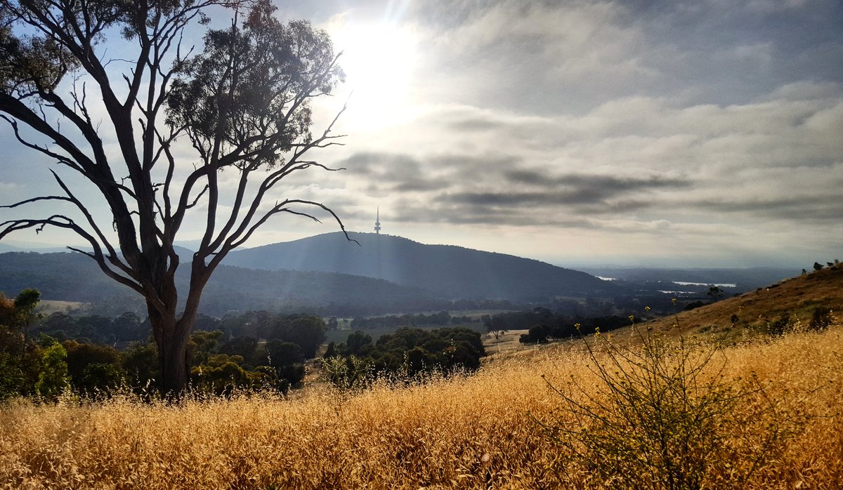 scottyimhoff's tweet photo. Great morning to #run some hills around #Canberra before the heat sets in - #DairyFarmersHill; #BlackMt & #MtPainter (this 📷) #visitCanberra https://t.co/x24lyaNF5a