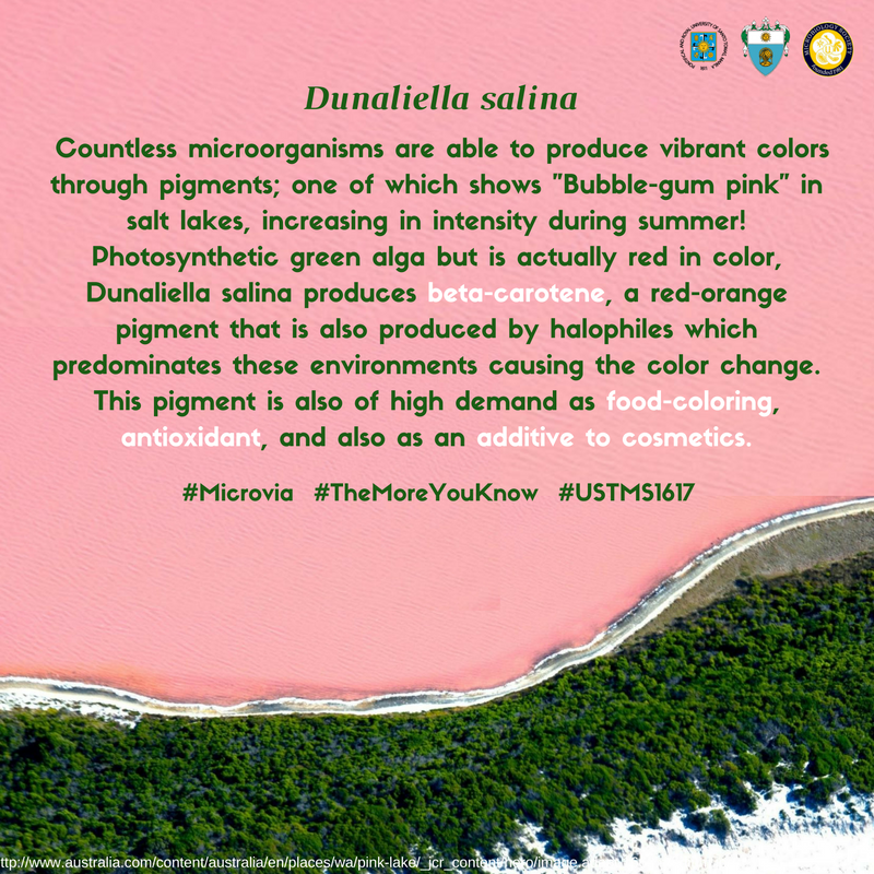 UST_MicroSoc's tweet photo. #Microvia #TheMoreYouKnow #USTMS1617 https://t.co/s0gU3TUTbX