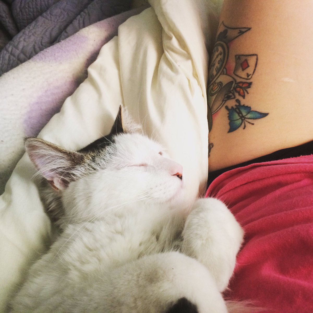 JuliaUffizi tweet media