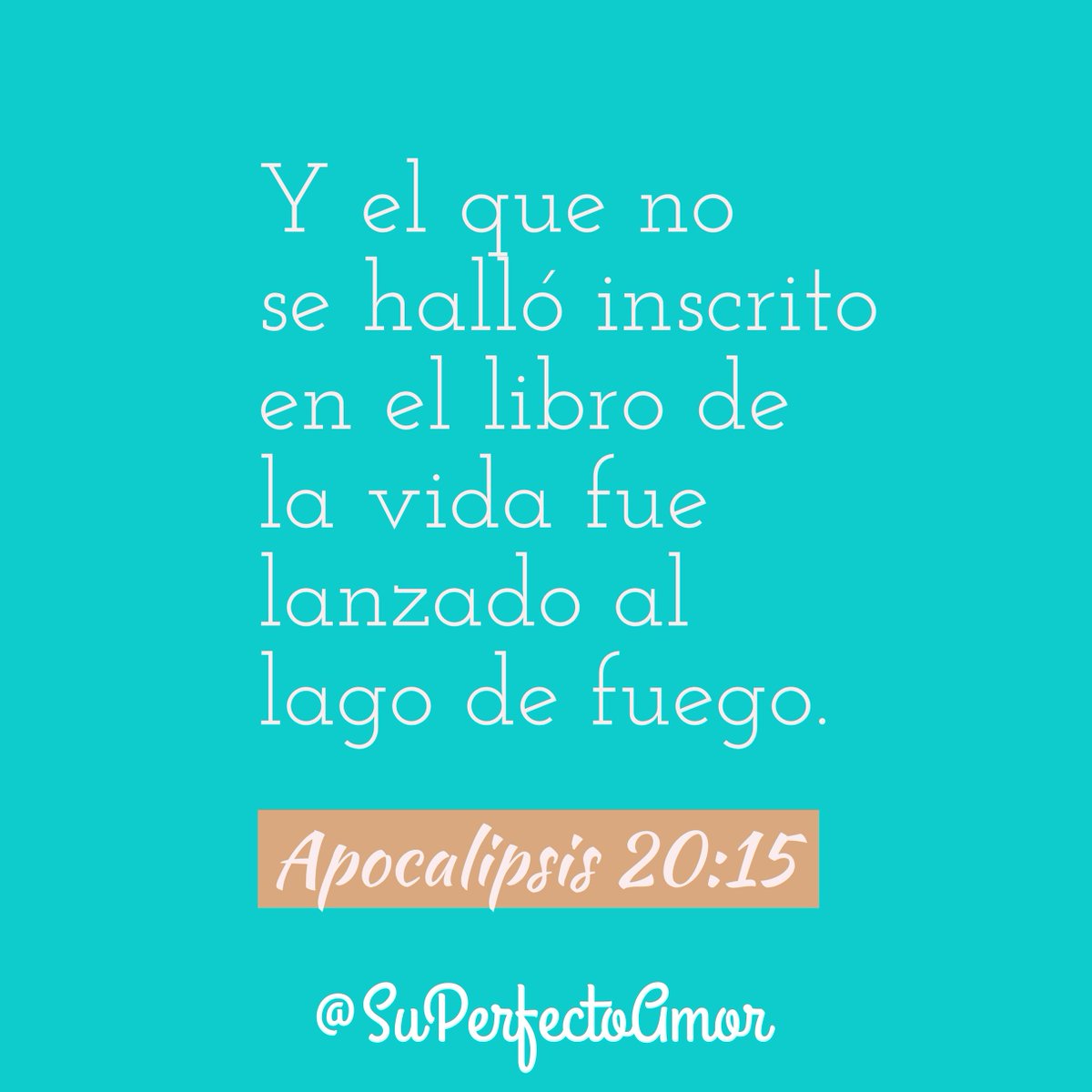 superfectoamor's tweet photo. Y tu ya estás inscrito? #FelizDomingo #DomingoDeGanarSeguidores #Evangelio #PalabraDeVida #Biblia https://t.co/PZg8DRmWuN