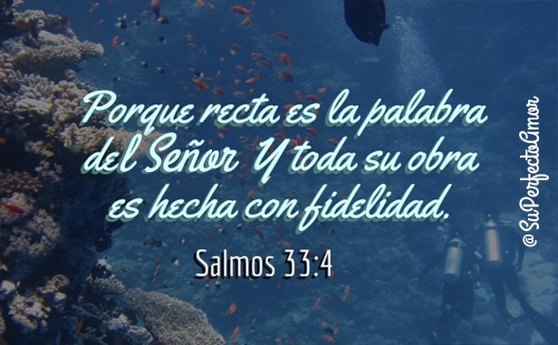 superfectoamor's tweet photo. Toda su obra es hecha con fidelidad 📖 #FelizDomingo #DomingoDeGanarSeguidores #Evangelio #PalabraDeVida #Biblia https://t.co/MA78lVOGNq
