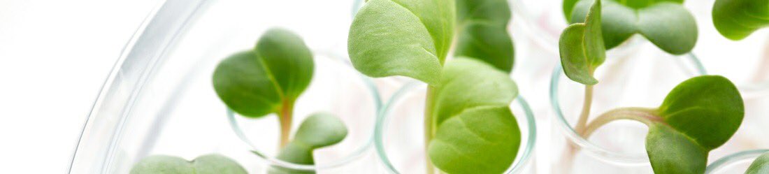 DrGobacSA's tweet photo. #DrGobac is a proudly #green brand 🌿 #DrGobacCosmeceuticals #SouthAfrican #Skincare https://t.co/F38oTzMu3s