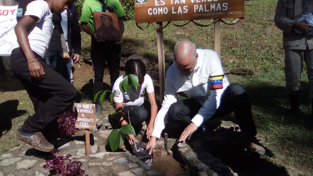 ana_dreads's tweet photo. Un Roble en Honor al Comandante Fidel Castro. Hasta la Victoria Siempre Comandante! https://t.co/uquMGwus3e