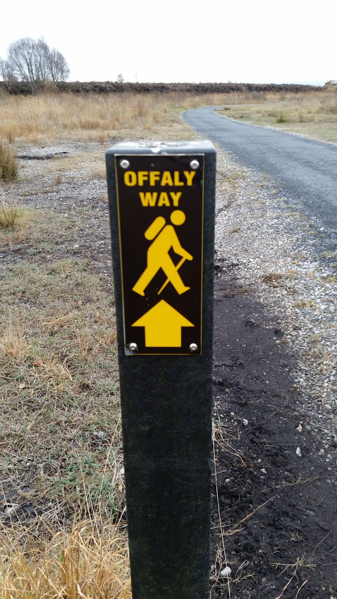 kittylynch75's tweet photo. @Berzbraz @LoughBooraPark
#offalyway can't beat it .... only with a Tipp Stick ππ https://t.co/qt5QG6bAA0
