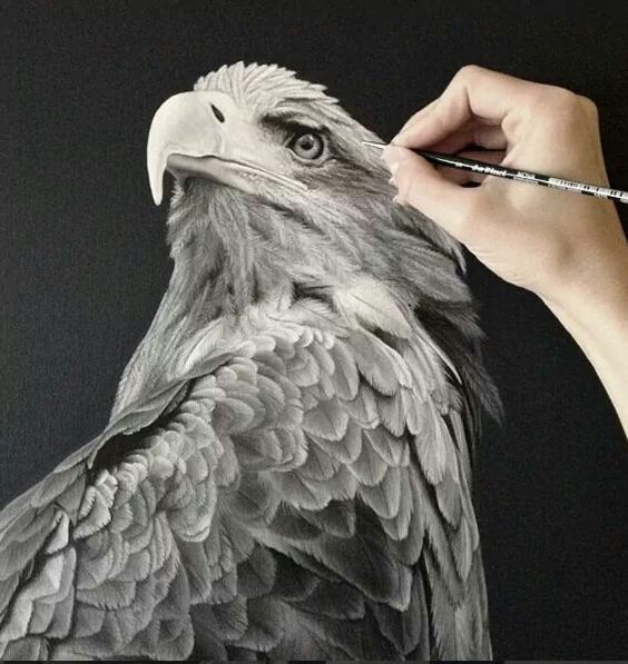MadQueenStorm's tweet photo. #hyper_realistic #art Bird of Prey by Franziska Treptow https://t.co/7iXvcq4sn6