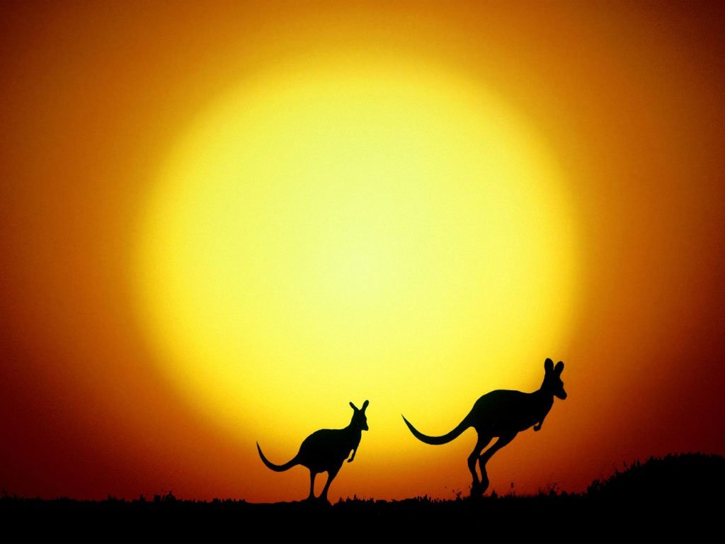 a_w_w_com's tweet photo. Australia – Modern Wonderland
https://t.co/VP20jshooS https://t.co/nzfp9yPmS4