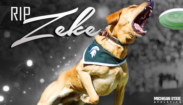 MSU_Athletics's tweet photo. RIP Zeke the Wonder Dog III. We will miss you! #RIPZeke https://t.co/07TLwFcNWg