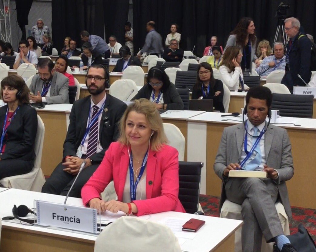 barbarapompili's tweet photo. #COP13+#COP22 L'#AccorddeParis reconnaît l'importance de préserver la #biodiversité, porteuse de solutions contre le changement climatique 🌎 https://t.co/PvuL1tVD3a
