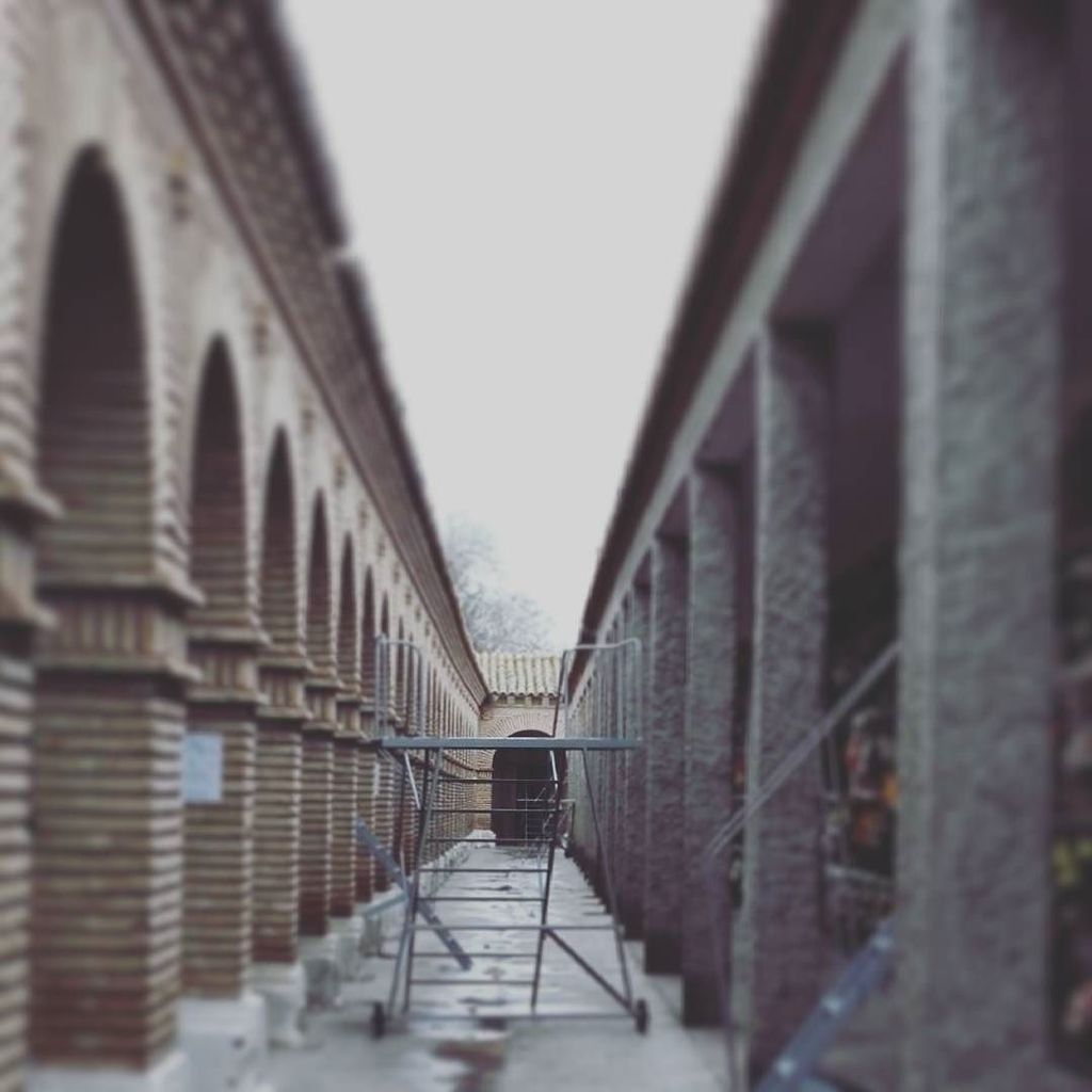 De repente... niebla #tw