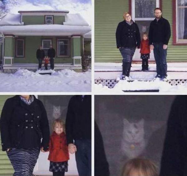LOLfactory's tweet photo. https://t.co/F1w6tO13cC Something tells me they are going to pay dearly for leaving the cat out of the family phot… https://t.co/nakM3Fnr5x