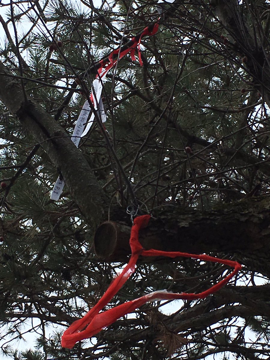 jillscott68's tweet photo. The Kingston REDress project Part 2 was installed today in Churchill park, after the dress went missing. #mmiwg https://t.co/3h4uIK2yIY