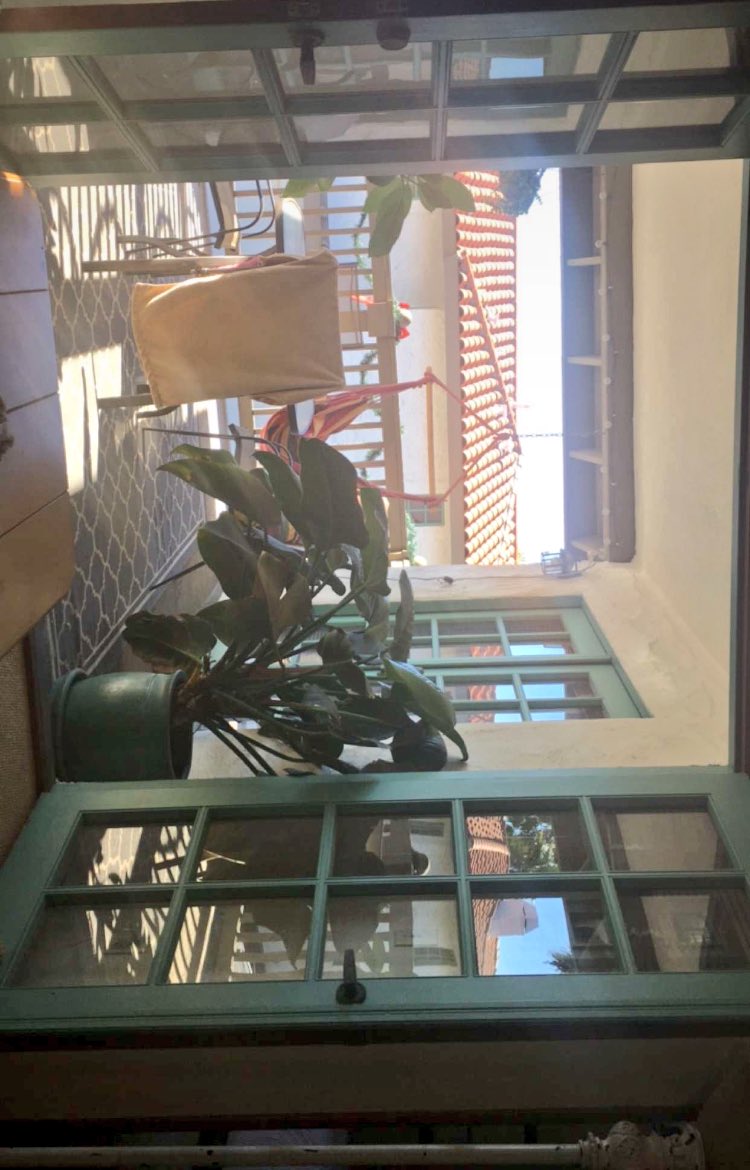 Emily Wilkinson (@ewilkinsonn) on Twitter photo 