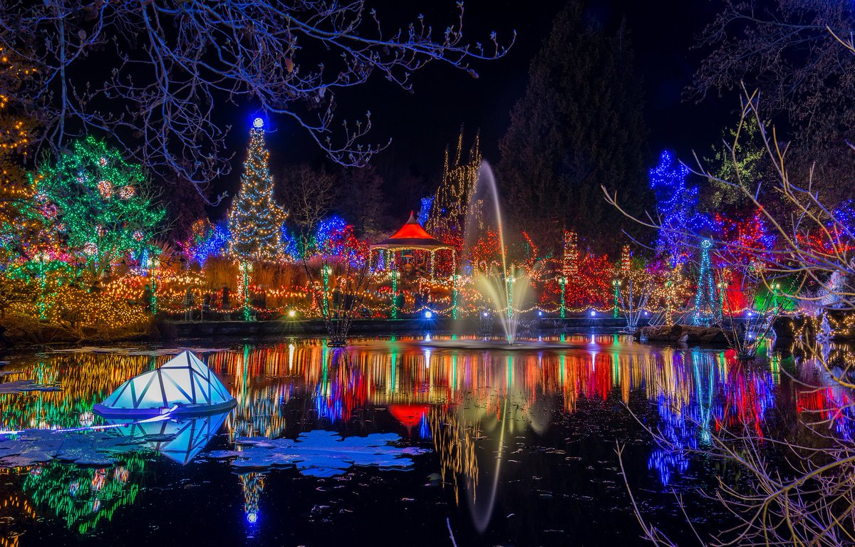 Did you know the world's largest Christmas light maze is in Vancouver! #SamesunVancouver