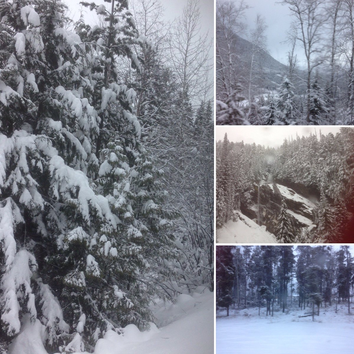 AberGirl2011's tweet photo. One night, several hundred miles, some delicious meals, good company, and MUCH SNOW later..#ViaCanada #trainstyle https://t.co/IbDQoML5b1