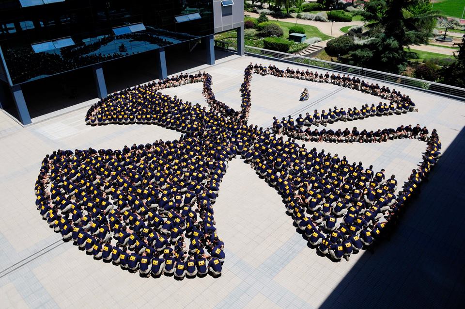 PDI Chile tweet media