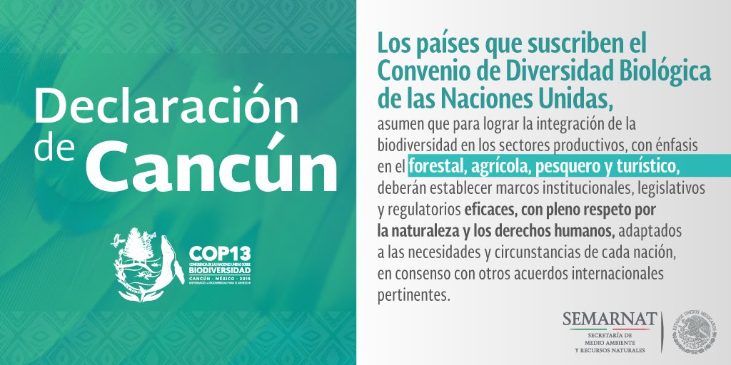 RafaelPacchiano's tweet photo. Los países reunidos en @COP13MX suscribimos nuestro compromiso con la biodioversidad con la Declaración de Cancún ➡️ https://t.co/zoFqep1nt3 https://t.co/EiIQxsAs9V
