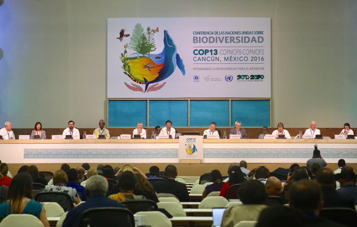 RafaelPacchiano's tweet photo. Los países reunidos en @COP13MX suscribimos nuestro compromiso con la biodioversidad con la Declaración de Cancún ➡️ https://t.co/zoFqep1nt3 https://t.co/EiIQxsAs9V
