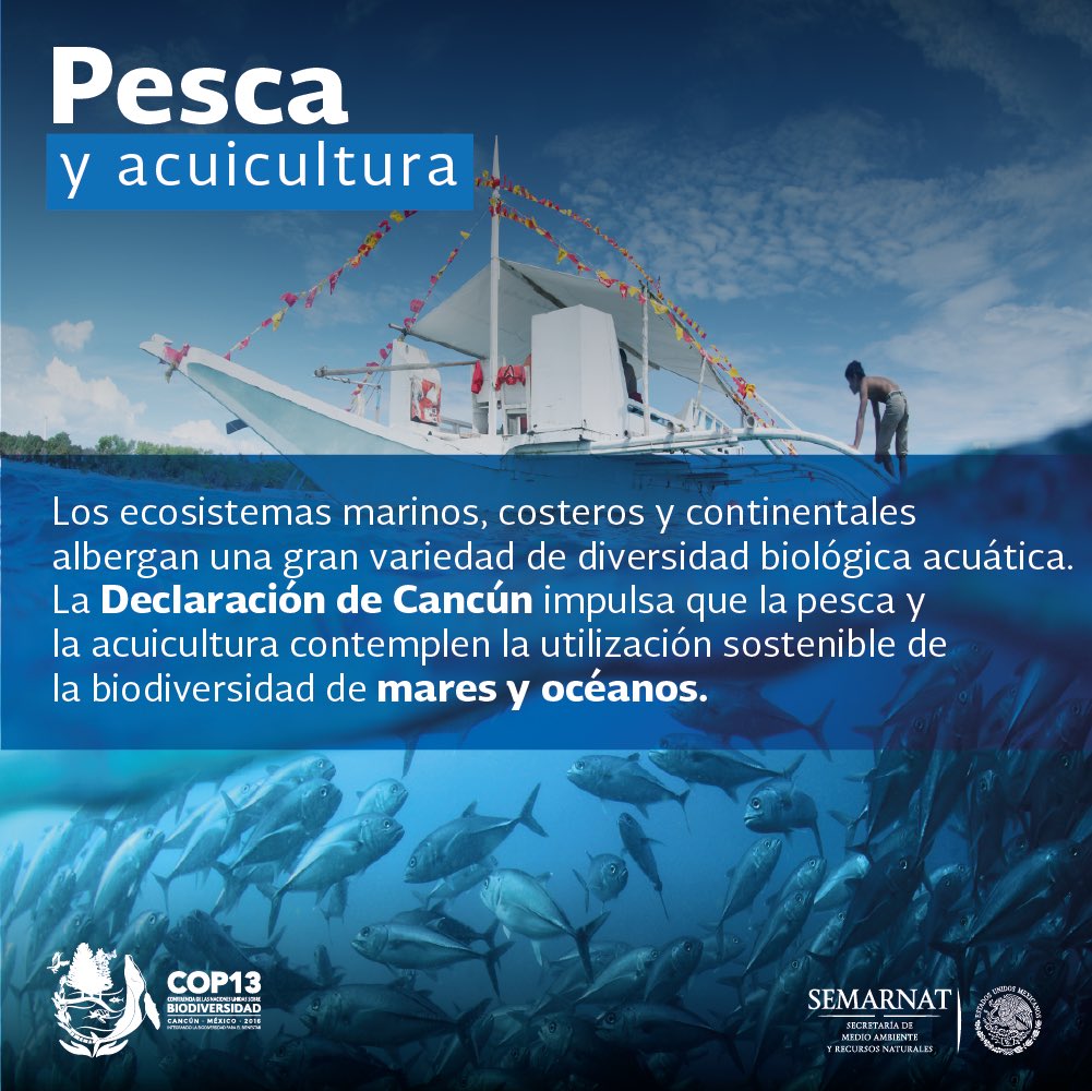 SEMARNAT_mx's tweet photo. Los países integrantes de @UNBiodiversity adoptan por unanimidad en la @COP13MX la Declaración de Cancún ➡️ https://t.co/Hqj1eZYDkW ✨👍🏻🌎🎉 https://t.co/60x6dsGXFd