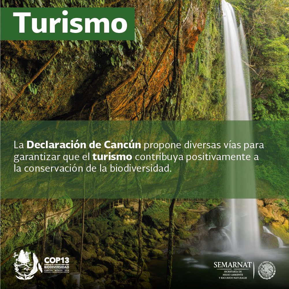 SEMARNAT_mx's tweet photo. Los países integrantes de @UNBiodiversity adoptan por unanimidad en la @COP13MX la Declaración de Cancún ➡️ https://t.co/Hqj1eZYDkW ✨👍🏻🌎🎉 https://t.co/60x6dsGXFd