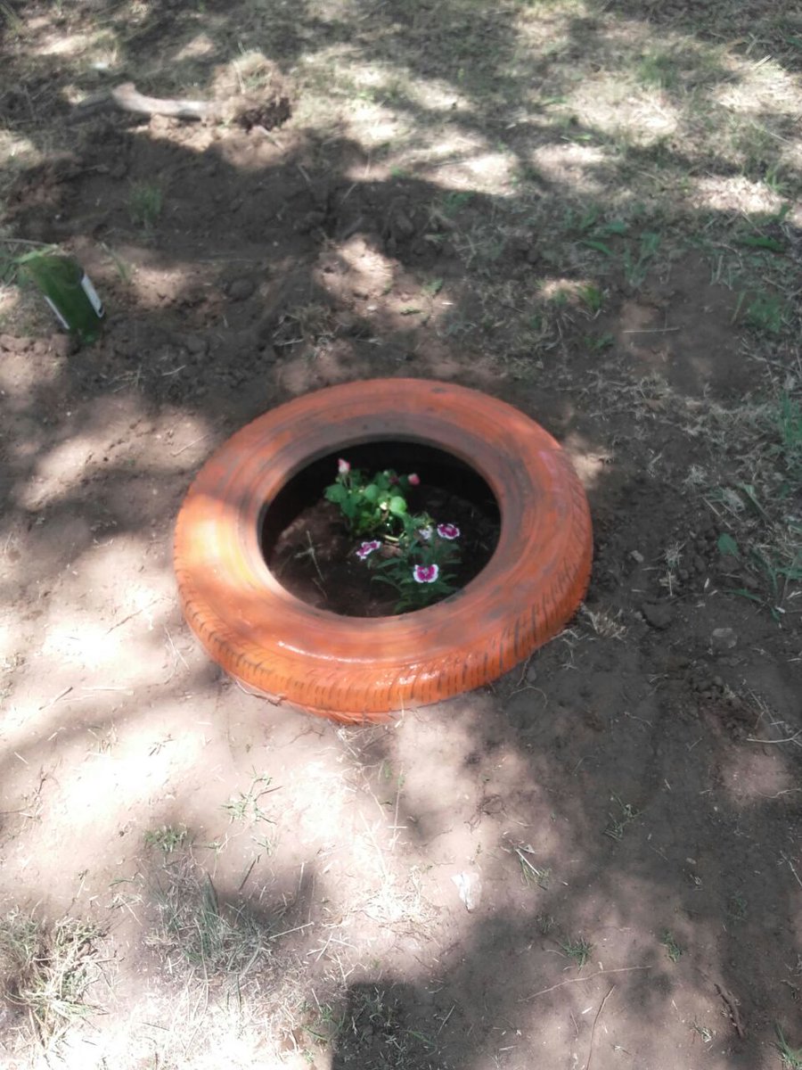 ClubLeoSRR's tweet photo. Gran trabajo en la plaza Che Guevara (Belgrano y Córdoba) si querés sumarte no dudes en contactarnos y ayudanos a ayudar💛🌼 https://t.co/fY5ShaEtZJ
