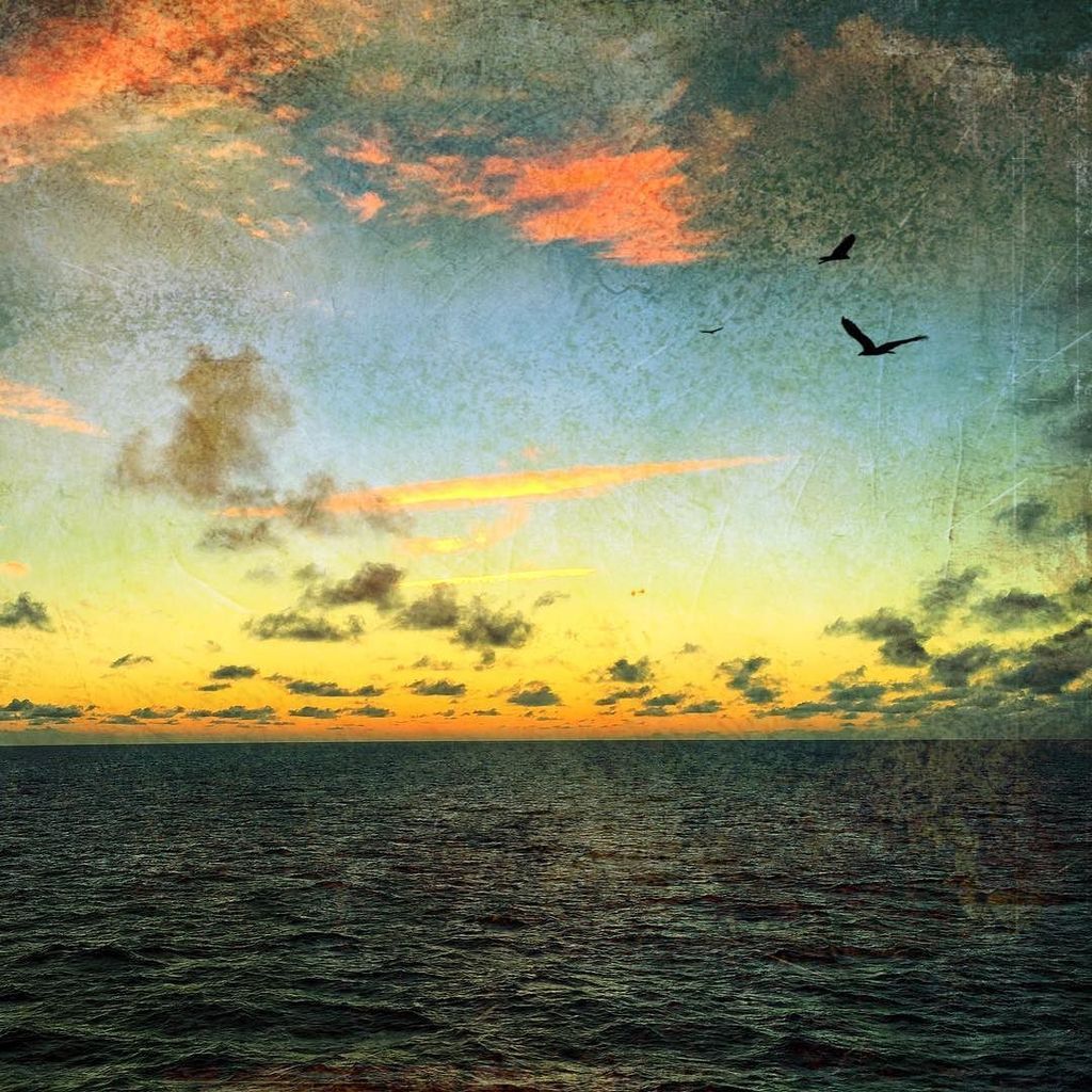 gdyro's tweet photo. At sea .
.
.
.
.
.
.
@focalmark #unlimitedsunset #sunsetlovers #sunset_madness #sunset_pi… https://t.co/LWRWUn0K23 https://t.co/Tdswq6HRUr