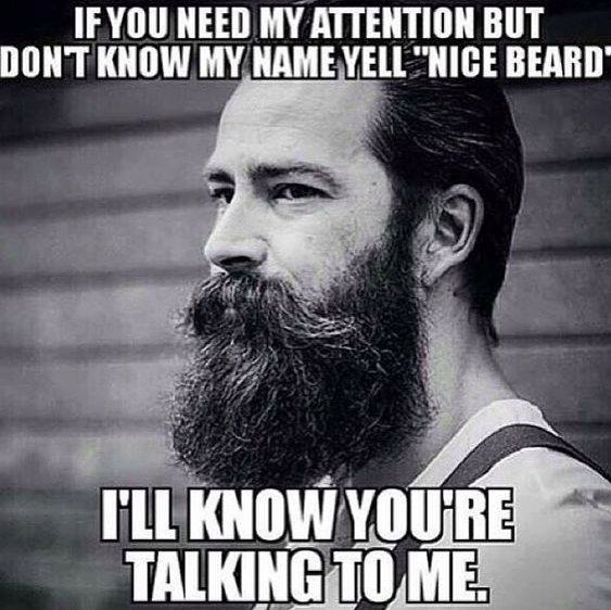 WeHeartBeards's tweet photo. No name? No problem. #beardcall https://t.co/5E24pfXQyT