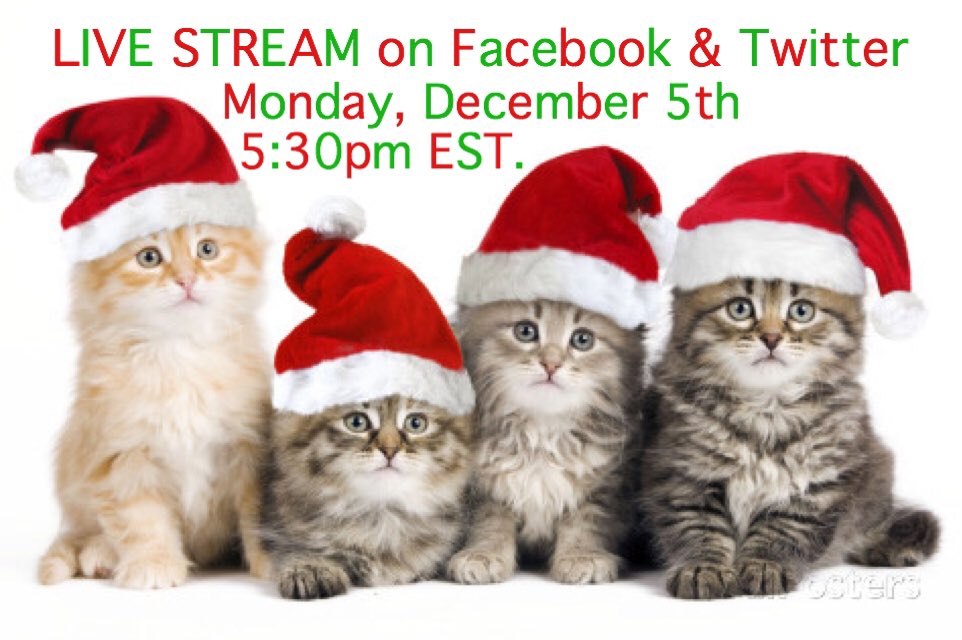 ASummerHigh's tweet photo. We're doing a Live Stream On Monday at 5:30pm Est. Come hang out :) 

Bonus points if you can match the member to the kitten!!! https://t.co/vBBXjmsR62