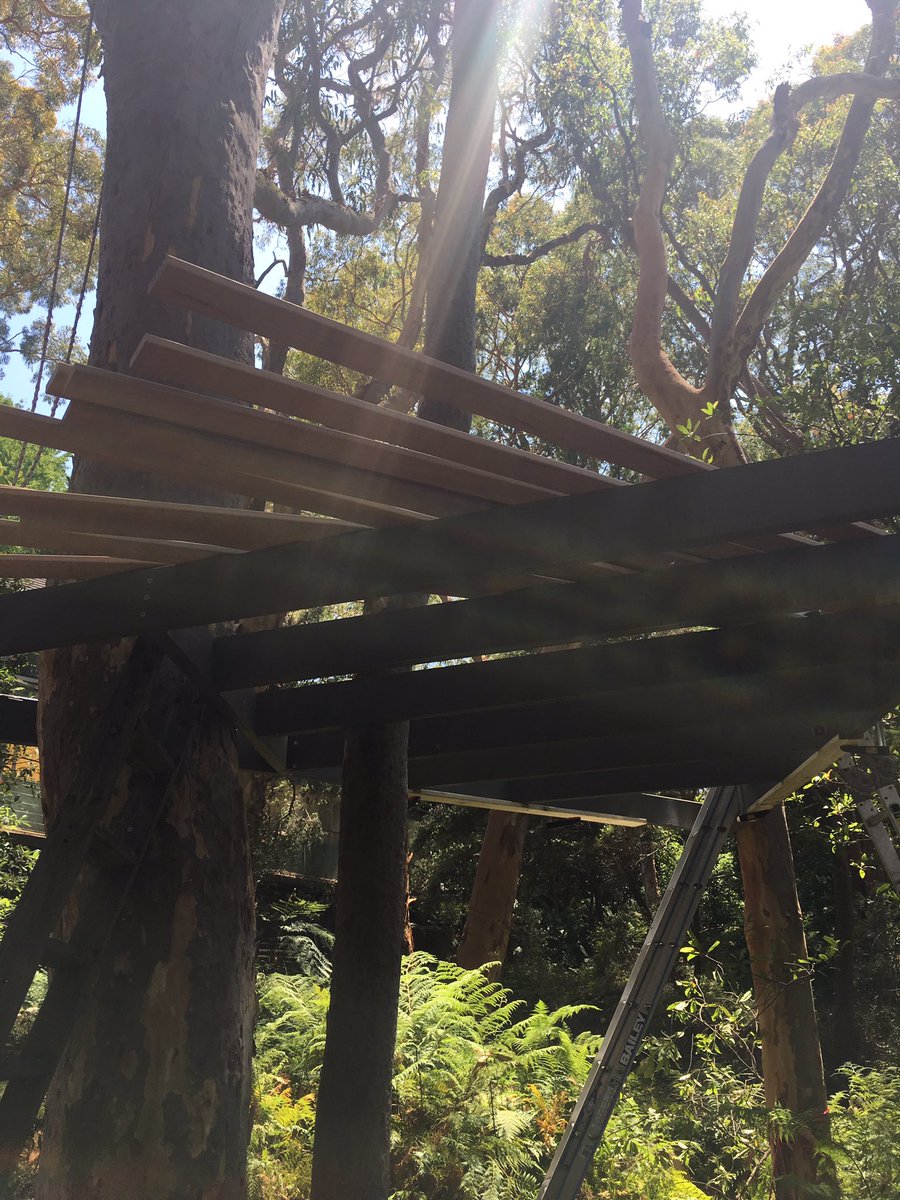 jharleyaus's tweet photo. #Day2 of #OperationTreeHouse underway https://t.co/LCw3B0fFsc
