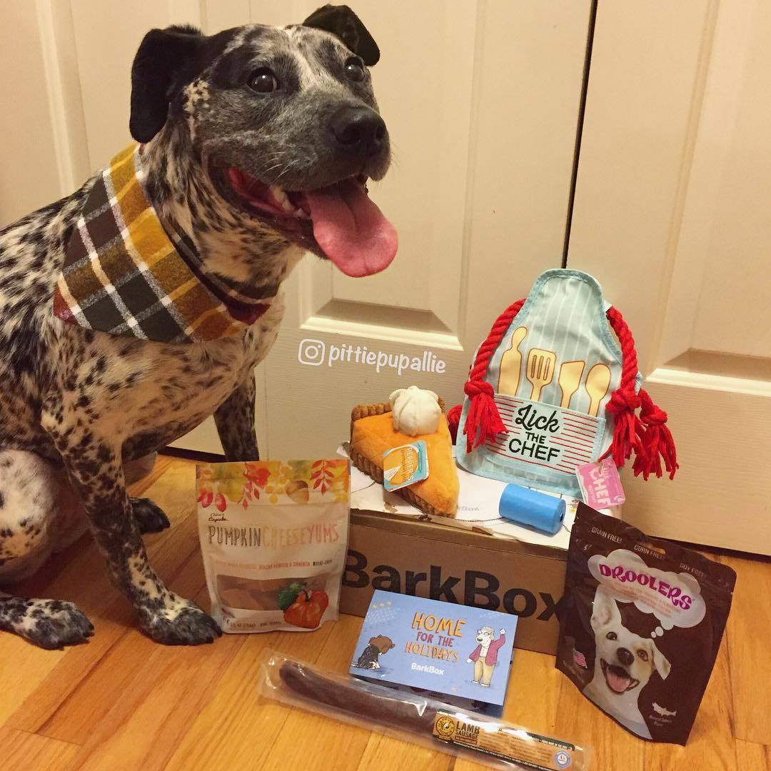 HappyHowiesInc's tweet photo. Happy #friyay furfriends! I got my #novemberbarkbox and it has the perfect ingredients... #happyhowies #woof
(#π· @ pittiepupallie) @barkbox https://t.co/tYrSs8CulC
