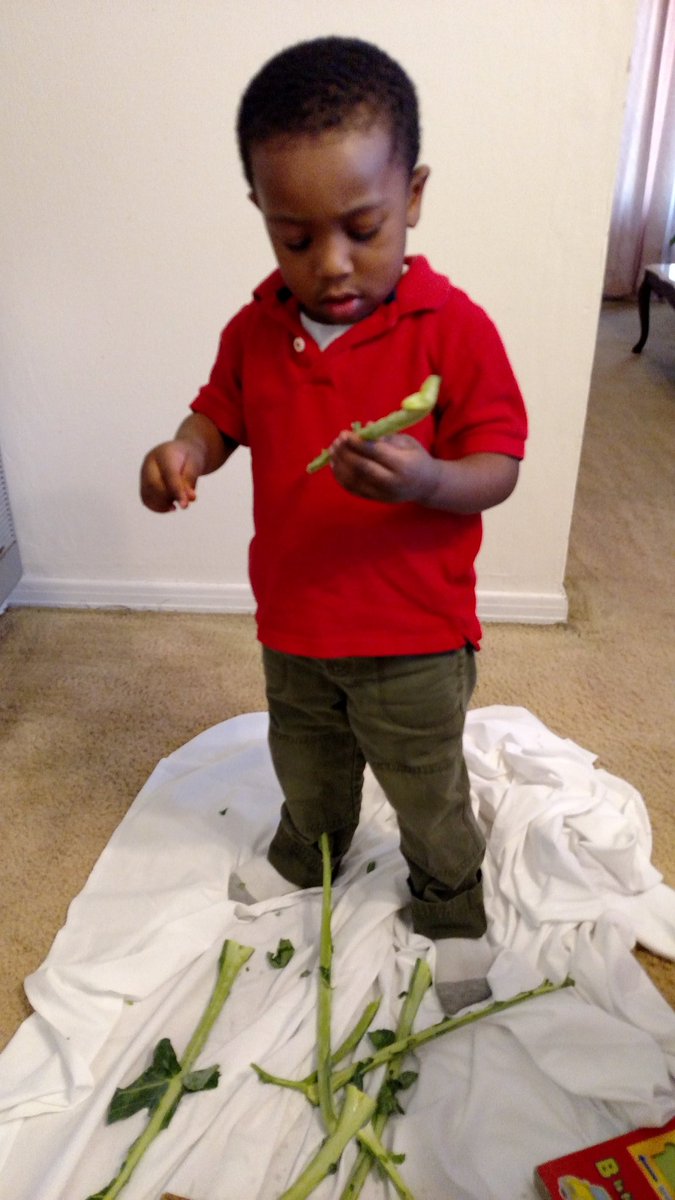 Dorothytreadwe2's tweet photo. My Helper https://t.co/6m3R7pJGyT