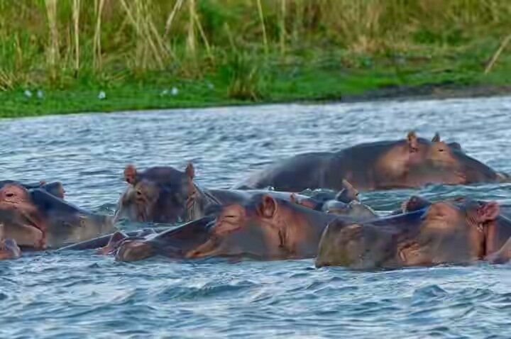 This is what you need to see during your vacation, don't this opportunity to see more WAYNE B ECO TOURS.