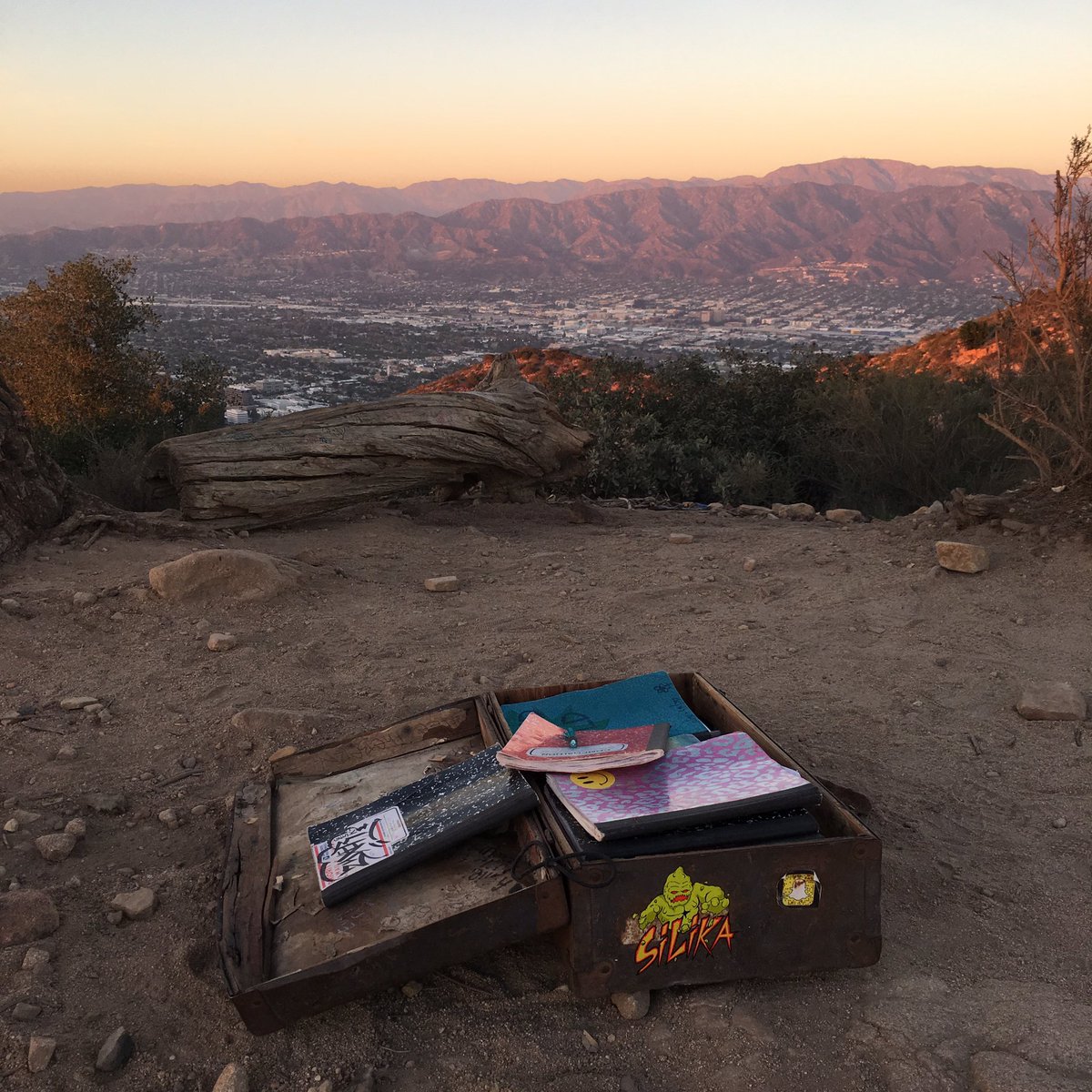 SilikaLife's tweet photo. Chill hike today #wisdomtree #hiking #losangeles https://t.co/CDYpGERakD