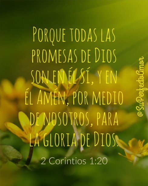 superfectoamor's tweet photo. Todas sus promesas 📖 #FelizViernes #ViernesDeGanarSeguidores #Evangelio #PalabraDeVida #Biblia https://t.co/Mwo7mc0m0d